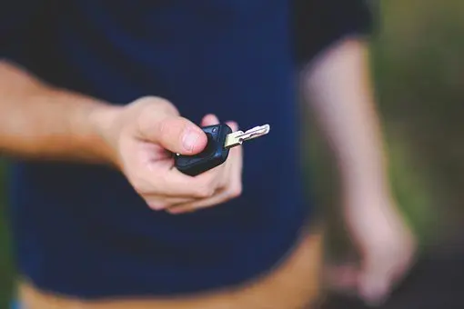 Transponder-Chip-Programming--in-Idyllwild-California-transponder-chip-programming-idyllwild-california.jpg-image